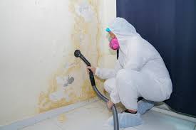 Best Comprehensive Air Testing for Mold Contaminants  in Camp Wood, TX